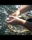 Fly Fishing on the Youghiogheny river